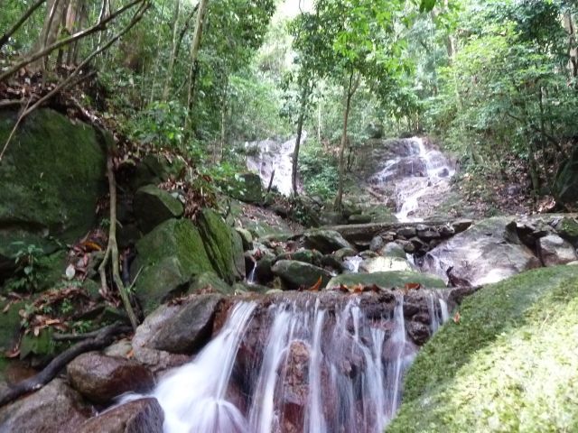 Wasserfall im Regenwald.